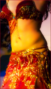 belly dance costume