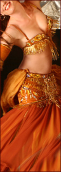 belly dance costume for sale